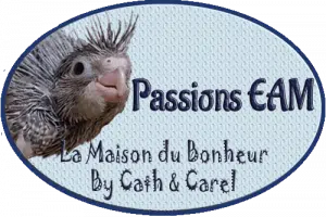 Catégorie - EAM - La Maison du Bonheur By Cath et Carel