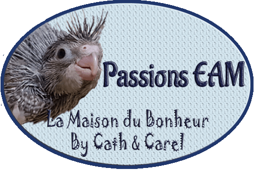 Catégorie - EAM - La Maison du Bonheur By Cath et Carel