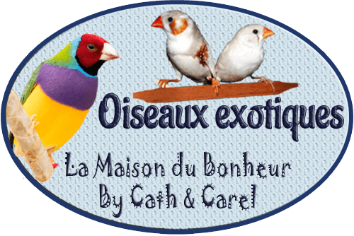Catégorie - Exotiques - La Maison du Bonheur By Cath et Carel