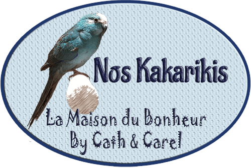 Catégorie - Kakarikis - La Maison du Bonheur By Cath et Carel