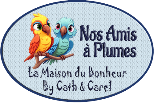 Catégorie - PLUMES - La Maison du Bonheur By Cath et Carel