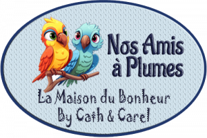 Logo de la catégorie Nos Amis à Plumes