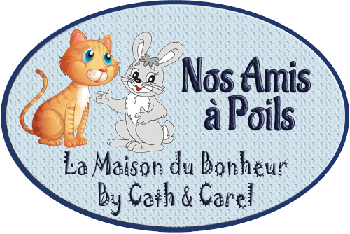 Catégorie - POILS - La Maison du Bonheur By Cath et Carel