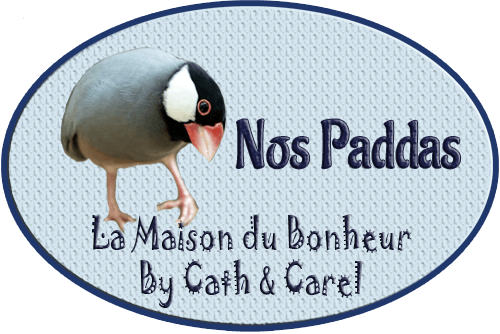 Catégorie - Paddas - La Maison du Bonheur By Cath et Carel
