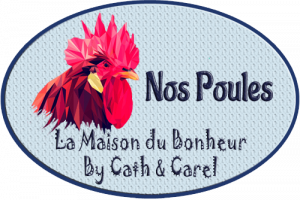 Catégorie - Poules - La Maison du Bonheur By Cath et Carel
