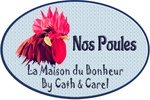 Catégorie - Poules - La Maison du Bonheur By Cath et Carel