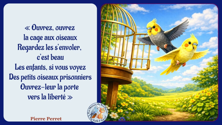 Citation de Pierre Perret "Ouvrez la cage aux oiseaux"