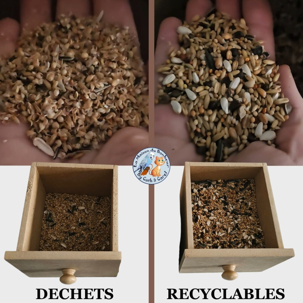 Trieur de Graines oiseaux nestQ Résultat